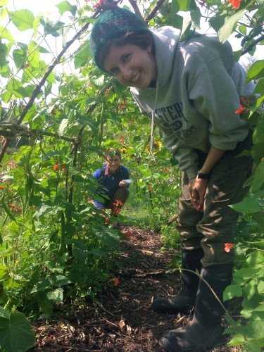 Interns Madi and Robyn in our kid's educational Bean Tunnel