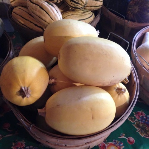 11951837_1070091113016052_1176091000435232035_n