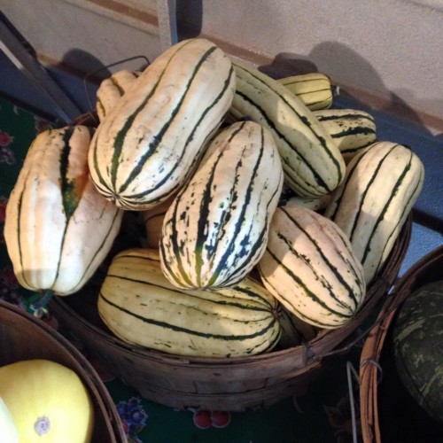 11986318_1070091099682720_6131444004705383288_n